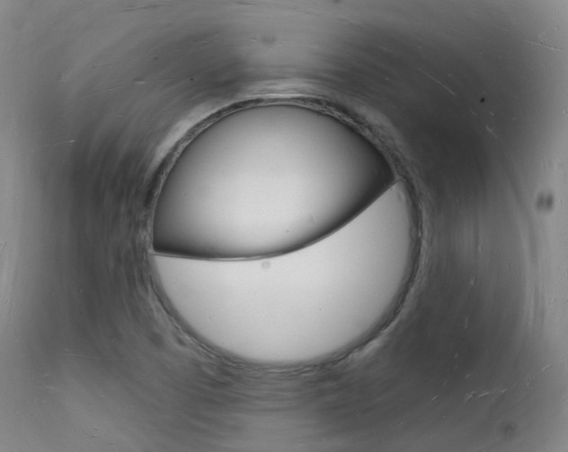 X0000112141457200908070928