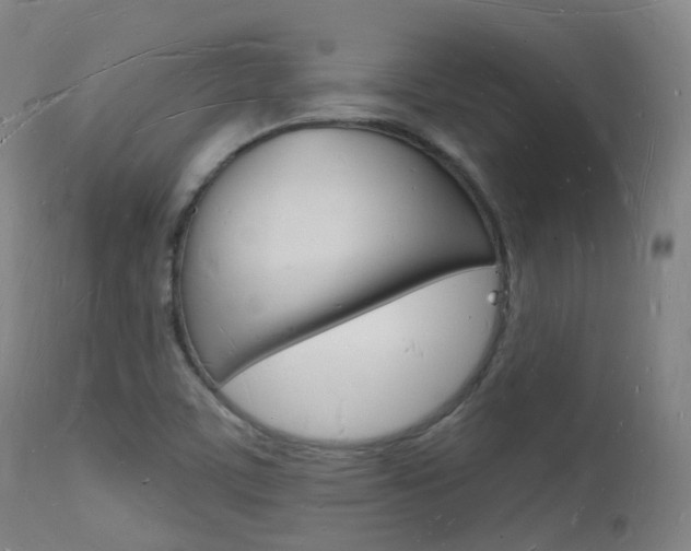 X0000112141459200908070928