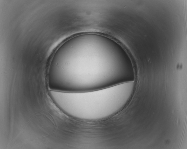 X0000112141460200908070928