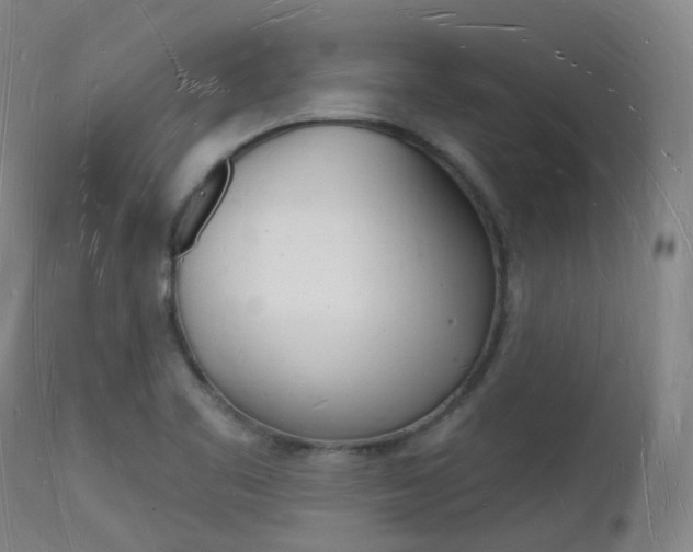 X0000112141461200908070928