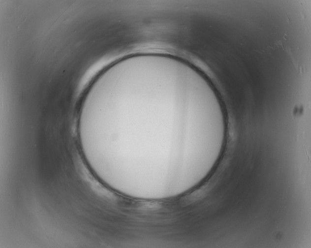 X0000112141462200908070928