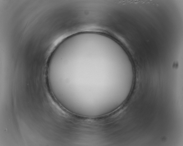 X0000112141463200908070928