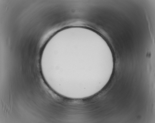 X0000112141464200908070928