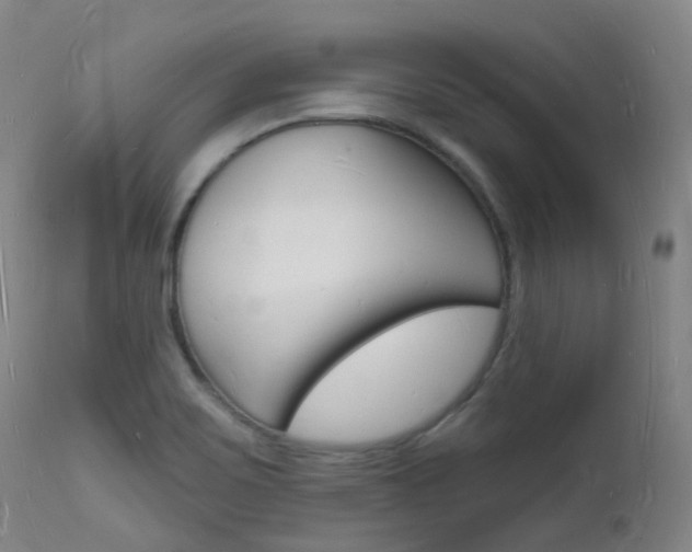 X0000112141467200908070928