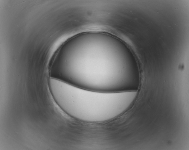X0000112141472200908070928
