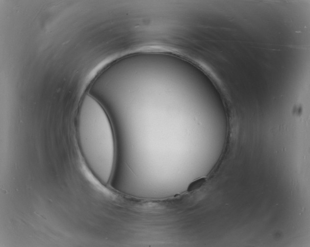 X0000112141476200908070928