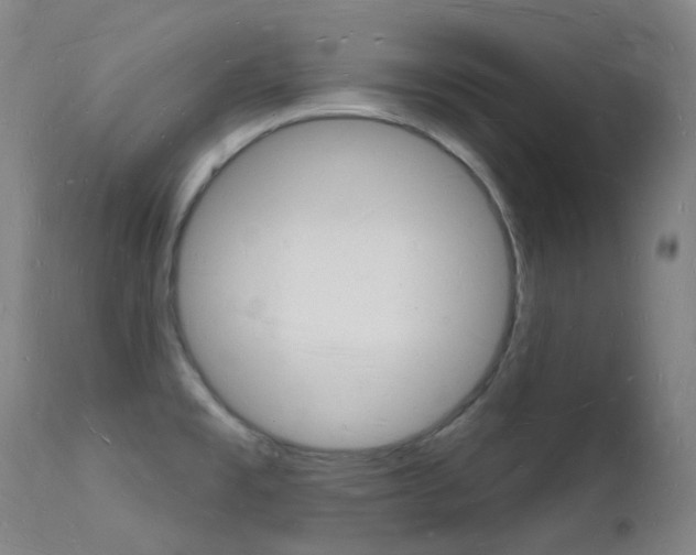 X0000112141477200908070928