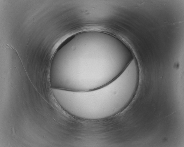X0000112141481200908070928