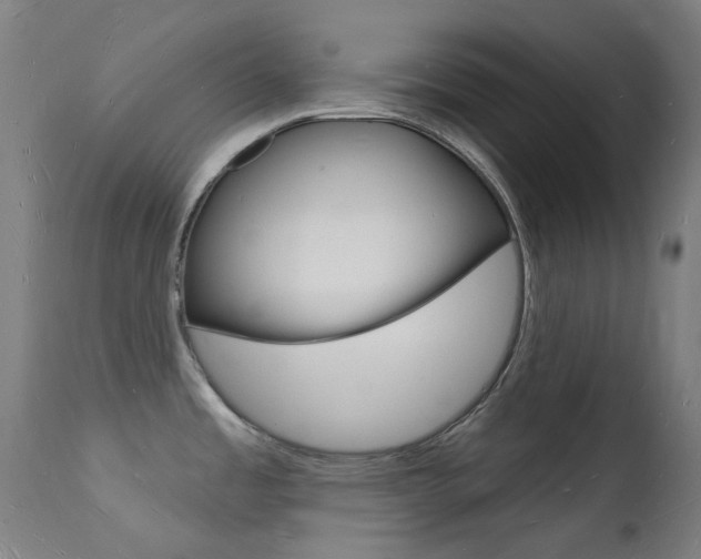 X0000112141485200908070928