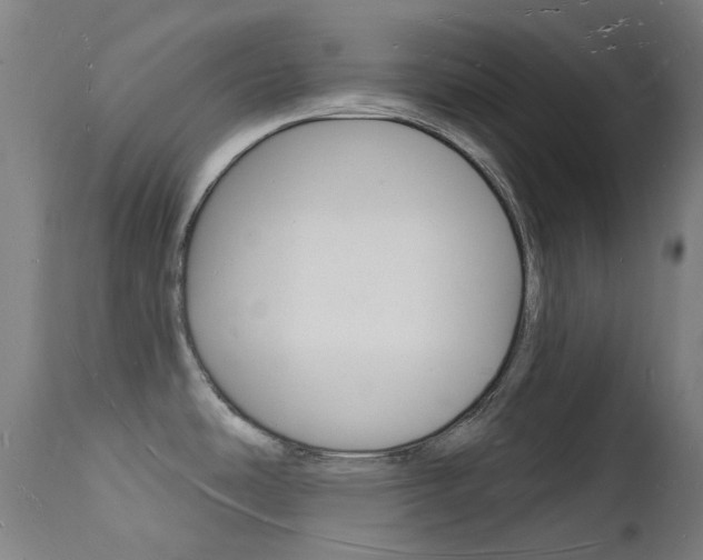 X0000112141486200908070928