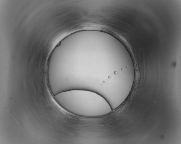 X0000112141487200908070928
