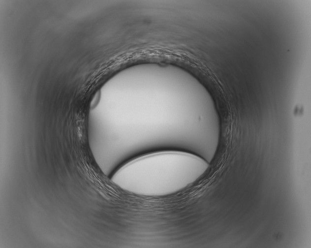 X0000112141490200908070927