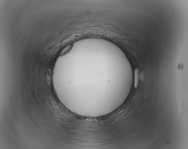 X0000112141491200908070927