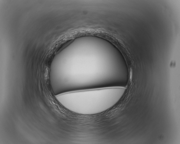 X0000112141492200908070927