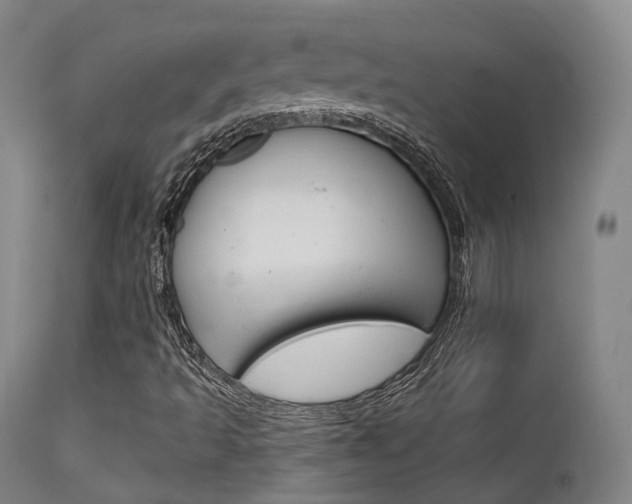 X0000112141493200908070927