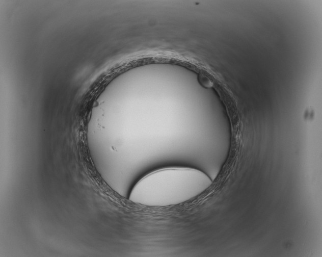 X0000112141495200908070927