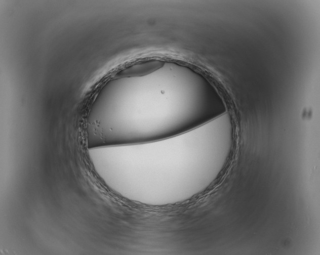 X0000112141496200908070927
