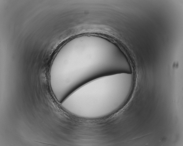 X0000112141497200908070927