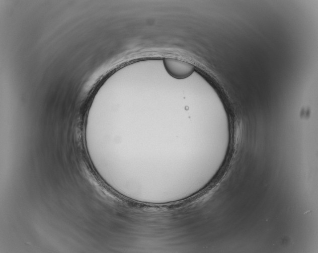 X0000112141498200908070927