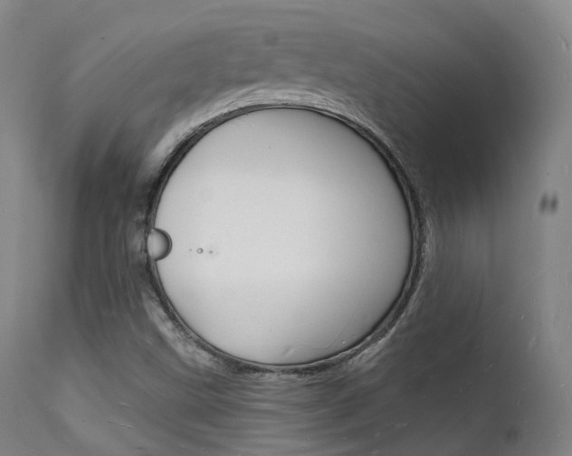 X0000112141499200908070927