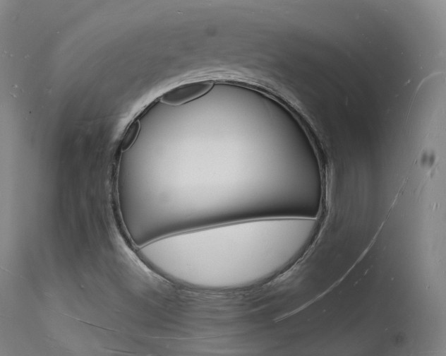 X0000112141500200908070927