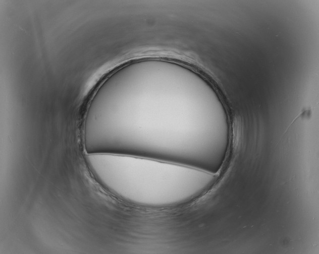 X0000112141501200908070927
