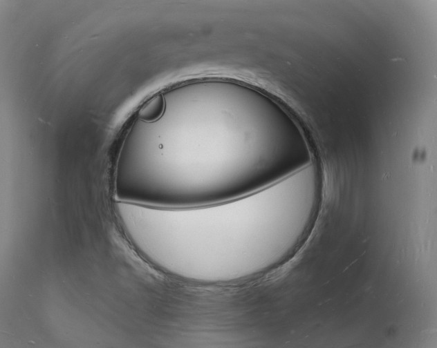 X0000112141502200908070927