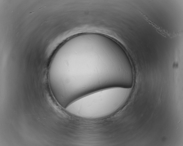 X0000112141507200908070927