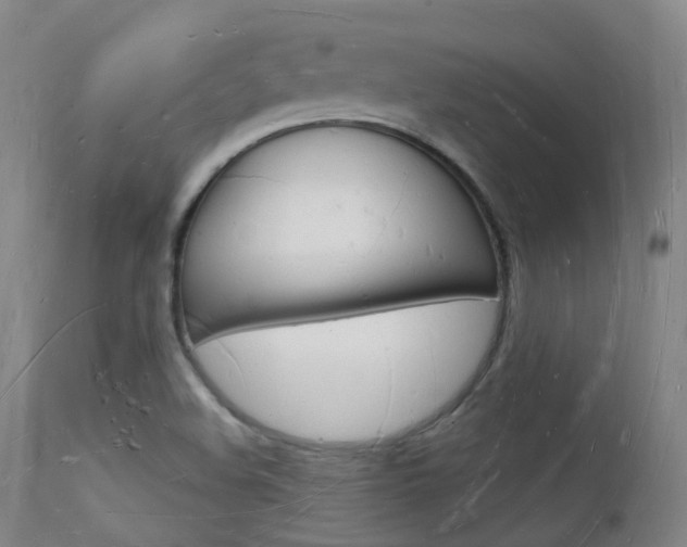 X0000112141508200908070927