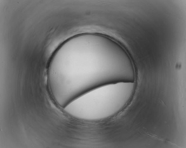 X0000112141509200908070927