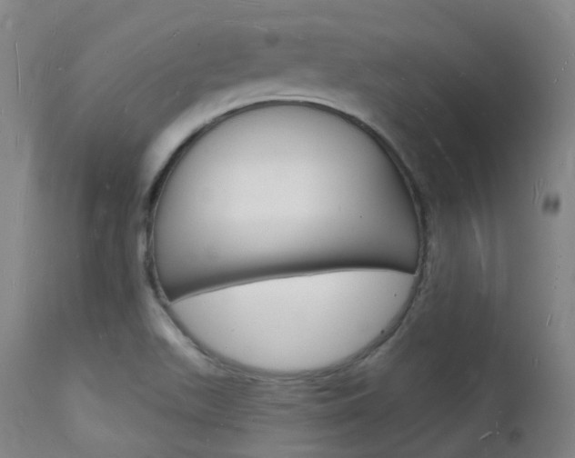 X0000112141511200908070927