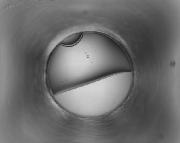 X0000112141512200908070927
