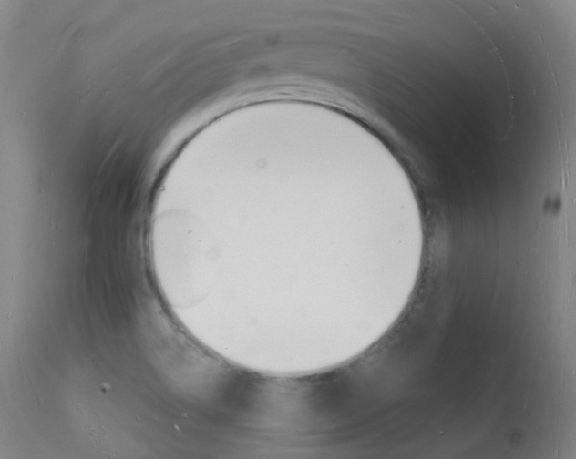 X0000112141514200908070927