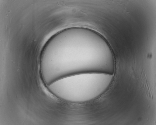 X0000112141515200908070927