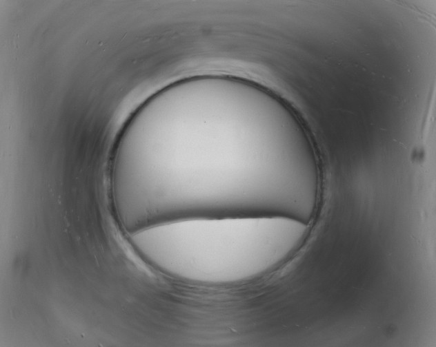 X0000112141517200908070927