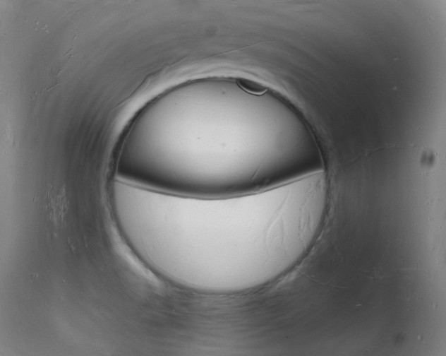 X0000112141518200908070927