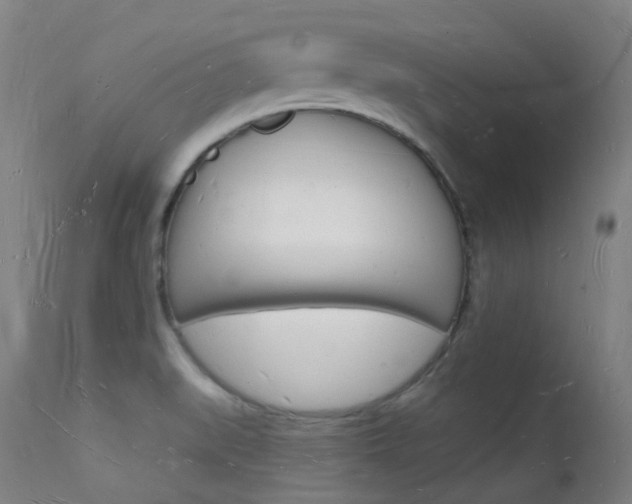 X0000112141519200908070927