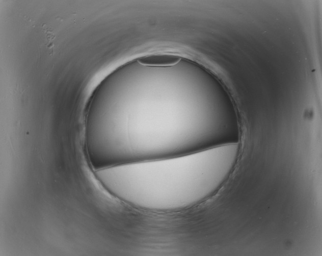 X0000112141520200908070927