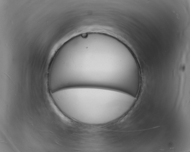X0000112141525200908070927