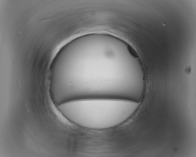 X0000112141526200908070927