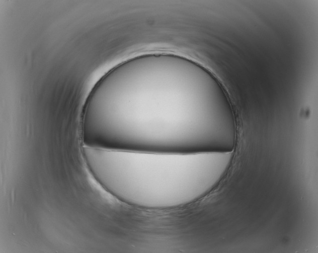X0000112141527200908070927