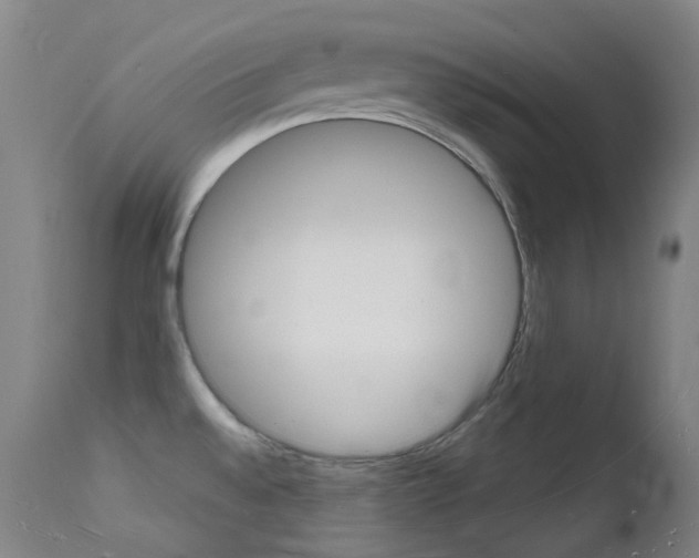 X0000112141528200908070927