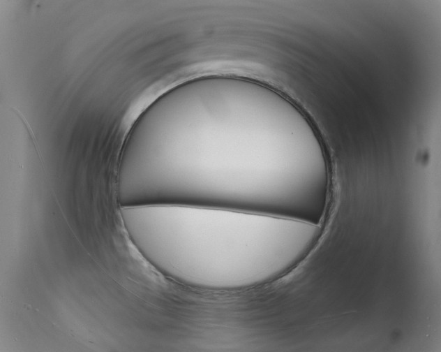 X0000112141529200908070927