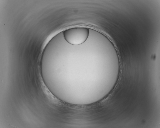 X0000112141530200908070927