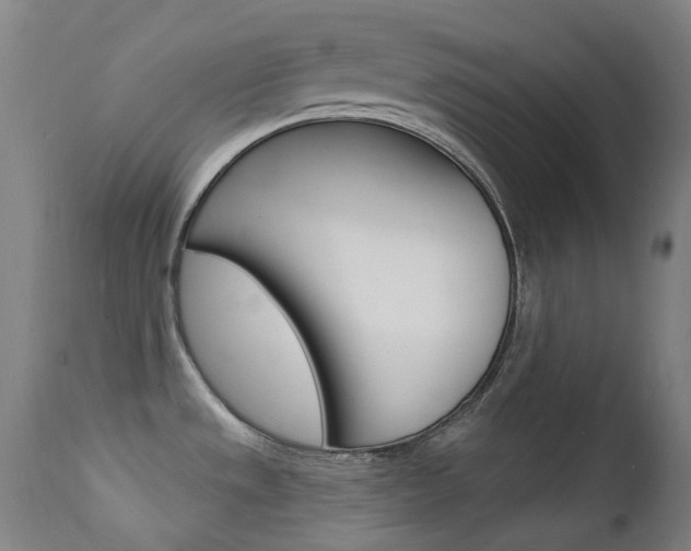 X0000112141533200908070927