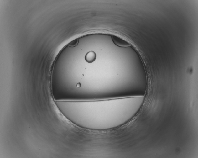 X0000112141534200908070927