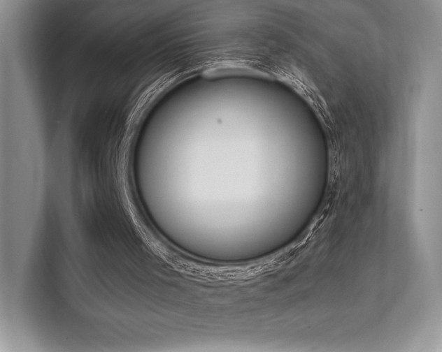 X0000112140001200908071105