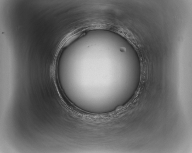 X0000112140003200908071105