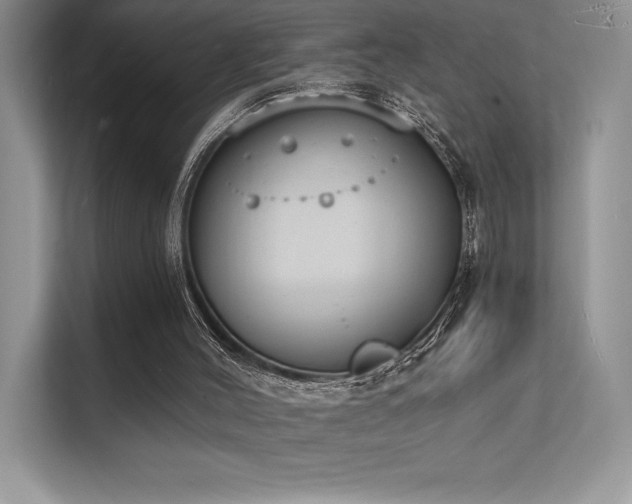 X0000112140004200908071105