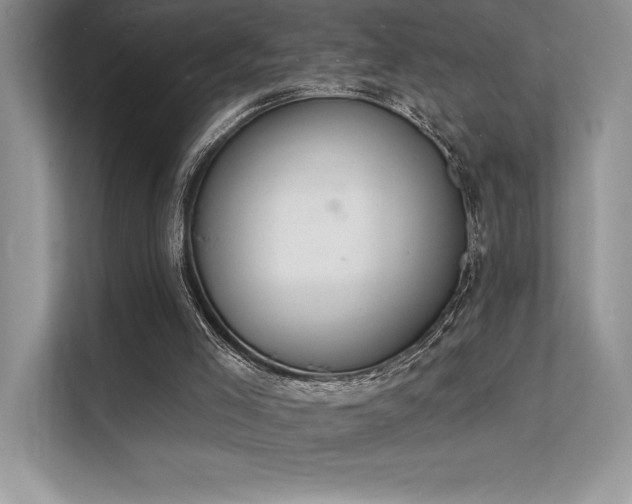 X0000112140005200908071105